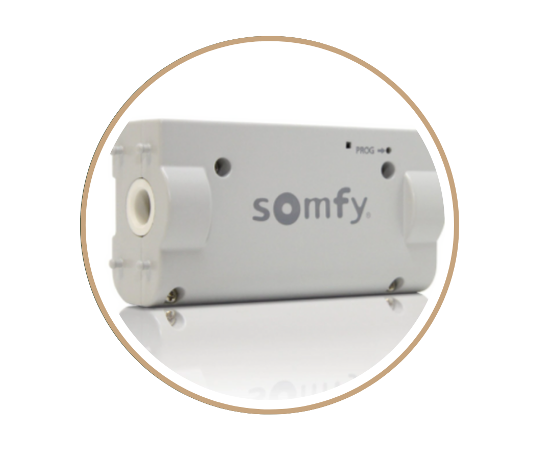 Somfy RTS motor